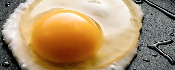 le uova a colazione aiutano a restare in forma