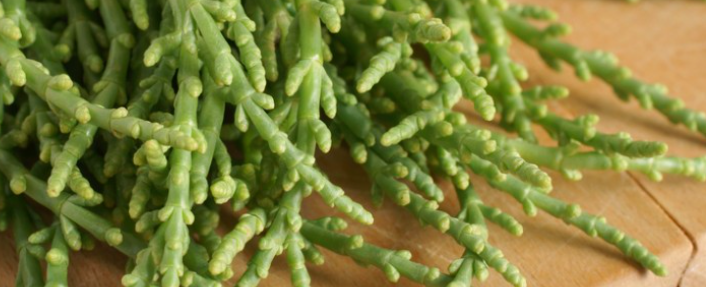 salicornia, una specie di asparago dagli effetti diuretici e depurativi